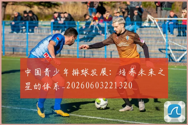 中国青少年排球发展:培养未来之星的体系_20260603221320