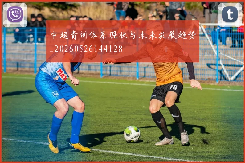 中超青训体系现状与未来发展趋势_20260526144128